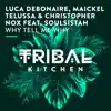 Luca Debonaire, Maickel Telussa & Christopher Nox - Why Tell Me Why (feat. Soulsistah) - Single